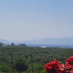 Albert Guest House 3*