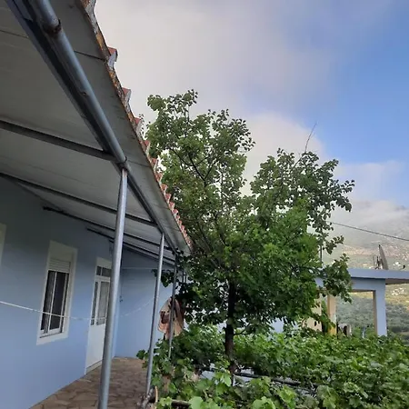 Albert Guest House 3* Борш