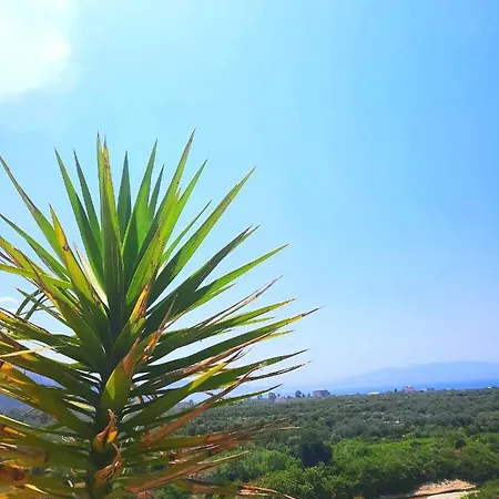 Albert Guest House 3*