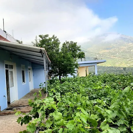 Pensjonat Albert Guest House 3*