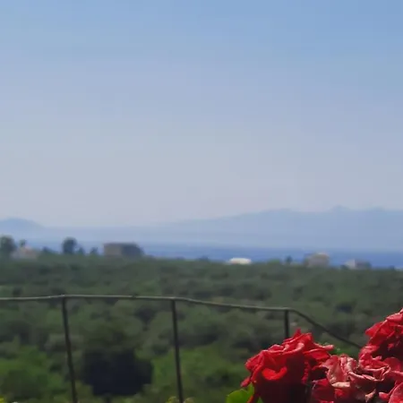 Albert Guest House 3*