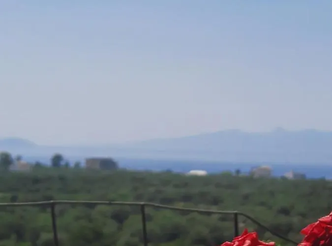 Albert Guest House 3*